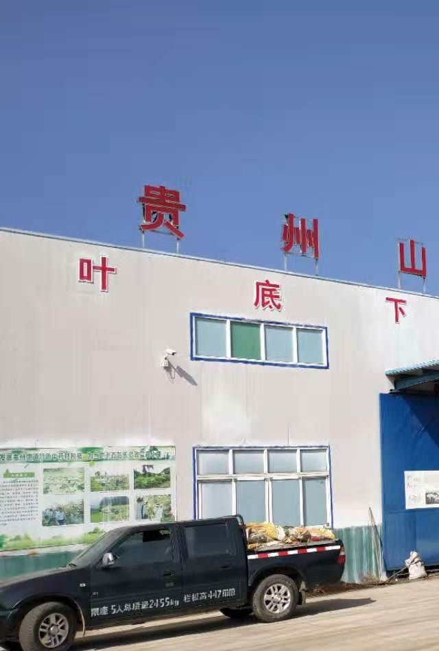聚鑫汇官方网站图片