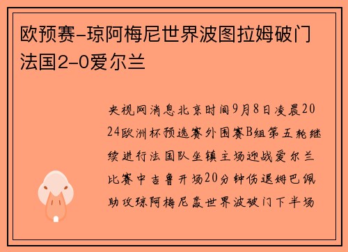欧预赛-琼阿梅尼世界波图拉姆破门 法国2-0爱尔兰