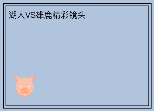 湖人VS雄鹿精彩镜头